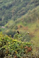 Glamping Sunset Hill