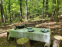 The Glamp Inn