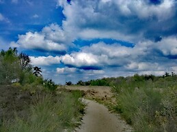 Chalet in Veluwe Near Forest Trails