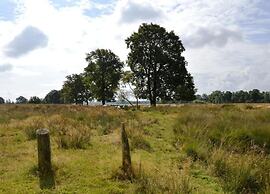 Chalet in Veluwe Near Forest Trails