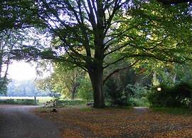 Chalet in Veluwe Near Forest Trails