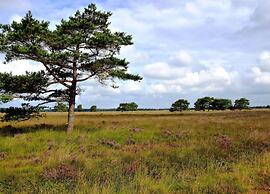 Chalet in Veluwe Near Forest Trails