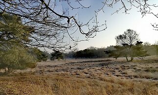 Chalet in Veluwe Near Forest Trails