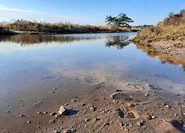 Chalet in Veluwe Near Forest Trails