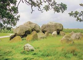 Chalet in Veluwe Near Forest Trails