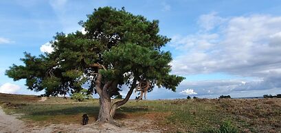 Nice Holiday Home in Hattemerbroek