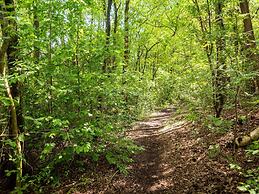 Nice Holiday Home in Hattemerbroek