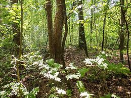 Nice Holiday Home in Hattemerbroek