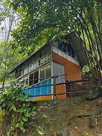 Hornbill Paradise Munnar