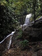 Hornbill Paradise Munnar