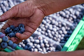 Agriturismo Ca Gianin