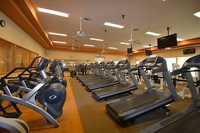 Flame Tree Sun Lakes