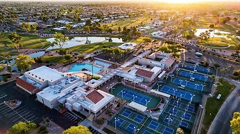 Flame Tree Sun Lakes