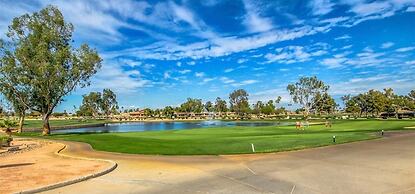 Flame Tree Sun Lakes
