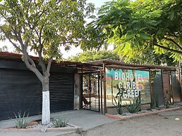Biohotel Caribe Green