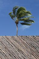 Origem Patacho Design Hotel