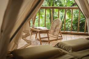 Nysa Forest Sanctuary