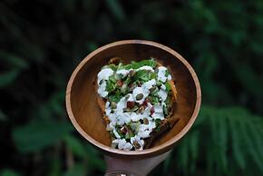 Nysa Forest Sanctuary