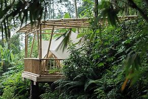 Nysa Forest Sanctuary