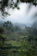 Nysa Forest Sanctuary