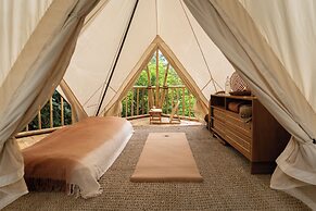 Nysa Forest Sanctuary