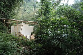 Nysa Forest Sanctuary