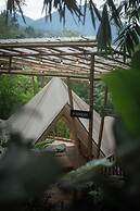 Nysa Forest Sanctuary