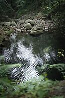 Nysa Forest Sanctuary