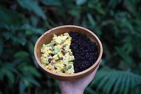 Nysa Forest Sanctuary