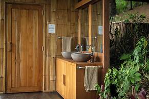 Nysa Forest Sanctuary