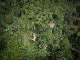 Nysa Forest Sanctuary