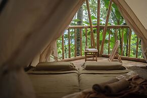 Nysa Forest Sanctuary