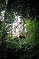 Nysa Forest Sanctuary