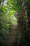 Nysa Forest Sanctuary