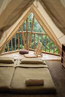 Nysa Forest Sanctuary