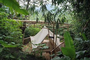 Nysa Forest Sanctuary