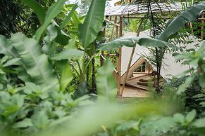 Nysa Forest Sanctuary