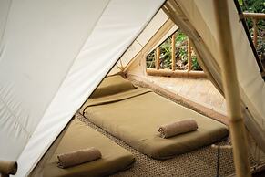 Nysa Forest Sanctuary