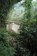 Nysa Forest Sanctuary