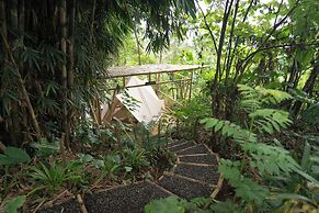 Nysa Forest Sanctuary