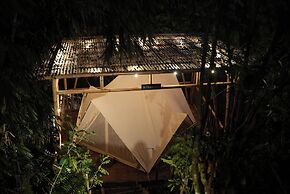 Nysa Forest Sanctuary