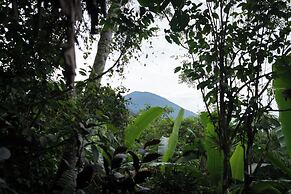 Nysa Forest Sanctuary