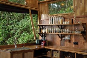 Nysa Forest Sanctuary