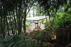 Nysa Forest Sanctuary