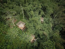 Nysa Forest Sanctuary