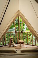 Nysa Forest Sanctuary