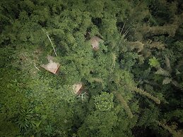 Nysa Forest Sanctuary