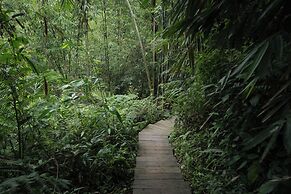 Nysa Forest Sanctuary