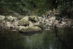 Nysa Forest Sanctuary