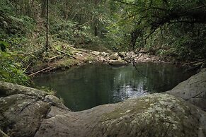 Nysa Forest Sanctuary